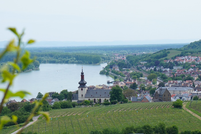 VDP Schätzel Nierstein