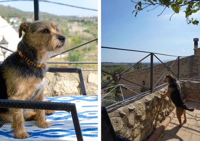 Hundehotel im Urlaub