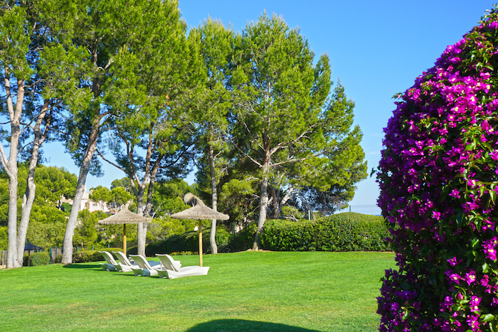 st. regis mardavall