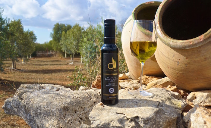 Oli de Santanyi – Olivenernte auf Mallorca Oli de Santanyi – Olivenernte auf Mallorca