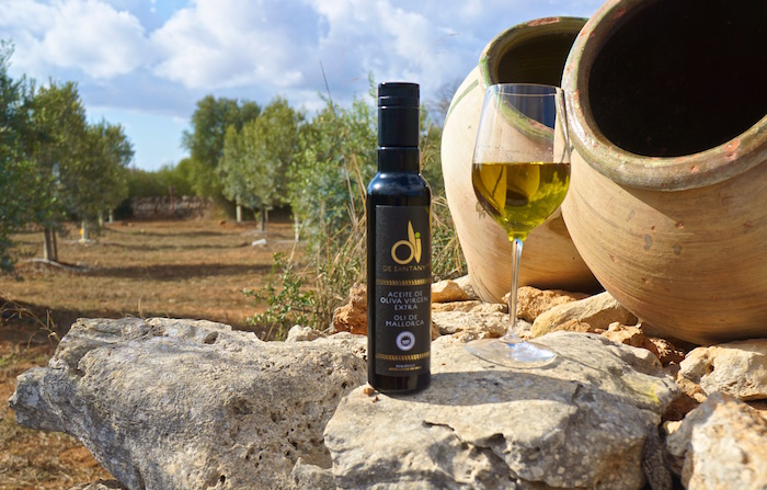 Oli de Santanyi – Olivenernte auf Mallorca