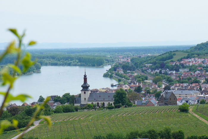 Weingut Schätzel VDP Weingut Schätzel VDP