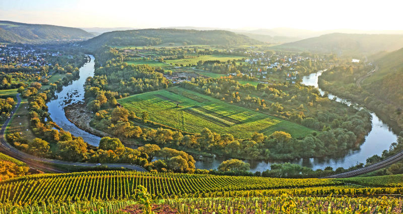 Weingut Van Volxem