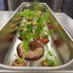 Books for cooks: Junge Triebe - Micro Greens