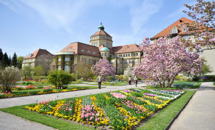 Botanischer Garten