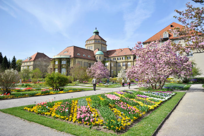 Botanischer Garten Botanischer Garten