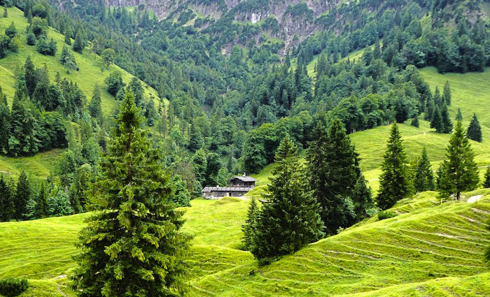 Königsalm - schönste Wanderung am Tegernsee Königsalm - schönste Wanderung am Tegernsee