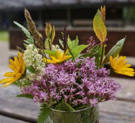 Tegernsee - Alm Wiesenblumen