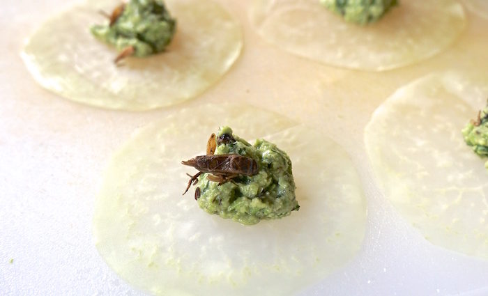 Insekten essen - „geschmacklose” Alternative