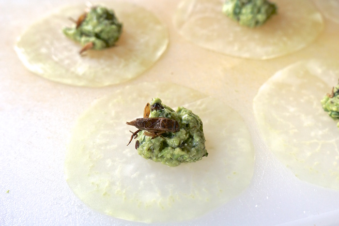 Insekten essen - „geschmacklose” Alternative