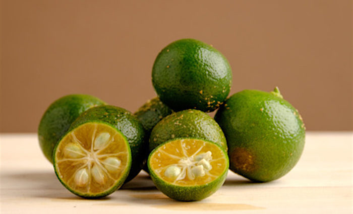foodhunters Hitze-Erfrischungstipp: Shrub Calamansi foodhunters Hitze-Erfrischungstipp: Shrub Calamansi