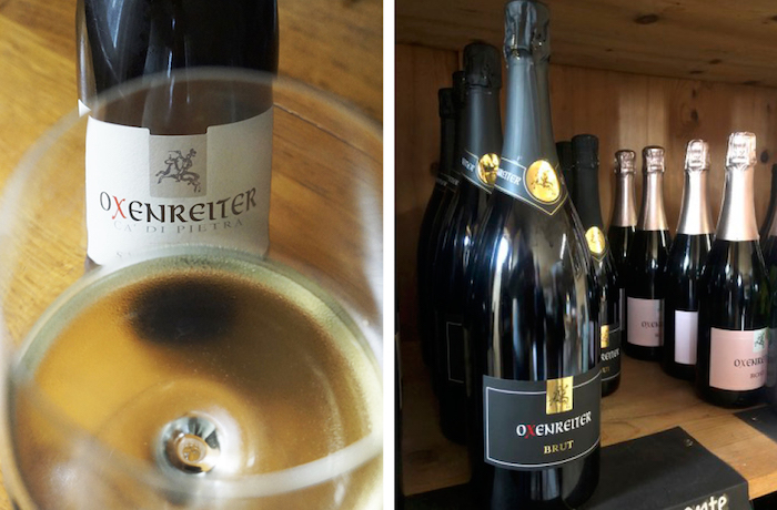 Weingut Oxenreiter - Überraschung am Wegesrand