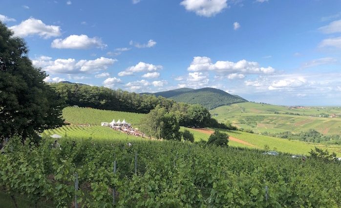 Weinfeste in der Pfalz 2023