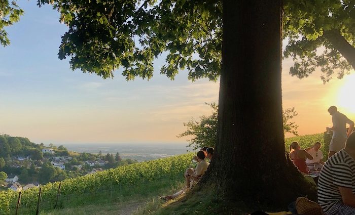 Beats & Wine. Good Vibes auf dem Weingut Nägelsförst