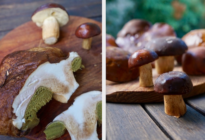 Pilze - Tipps fürs Suchen und Zubereiten